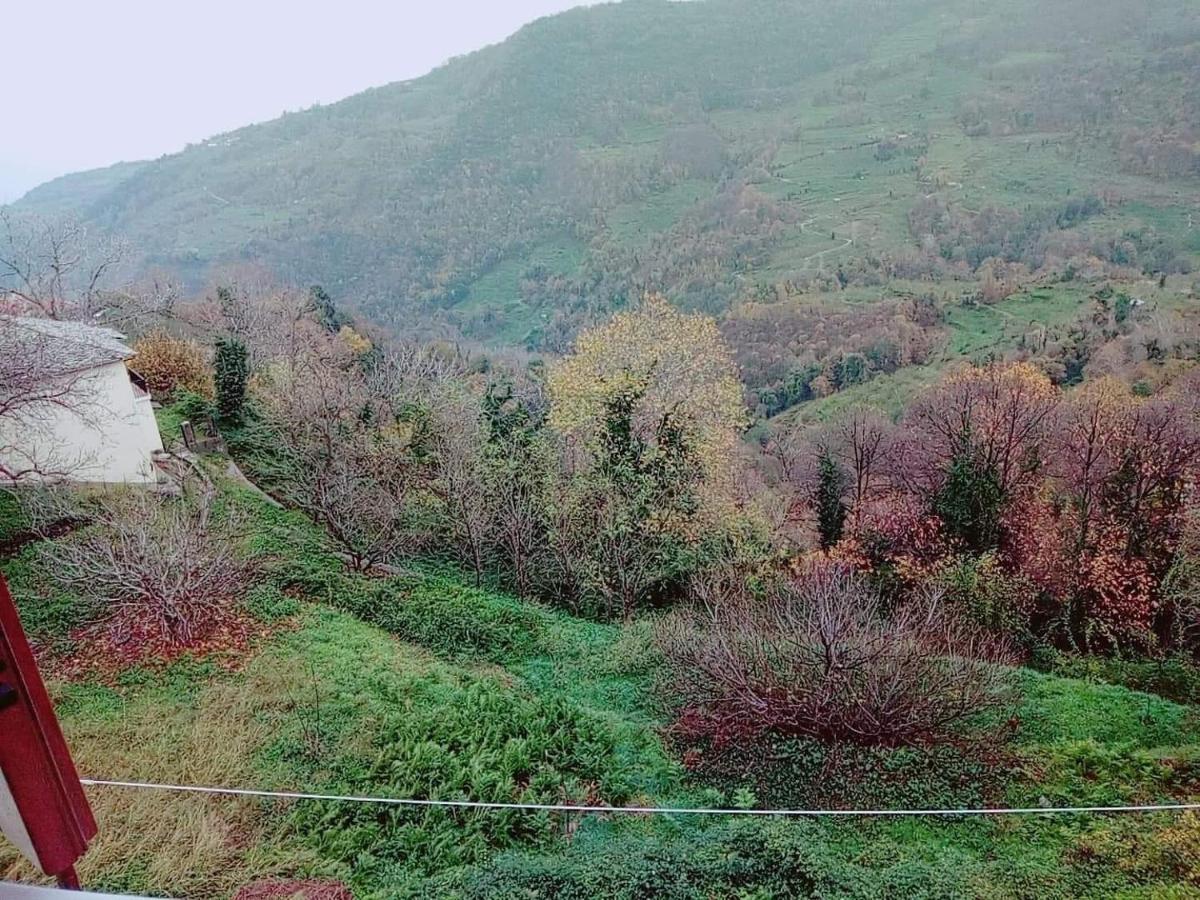 Evridiki Hotel Zagora Bagian luar foto